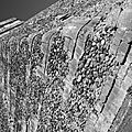 IMG_0936