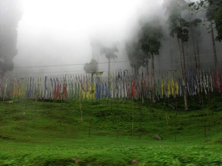 IMG_0443