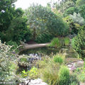 Jardin d'eau
