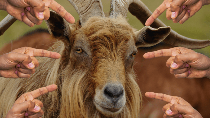 expression-bouc-émissaire-678x381