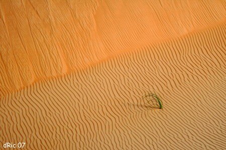 mauritanie_4217