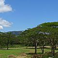 DSC03201