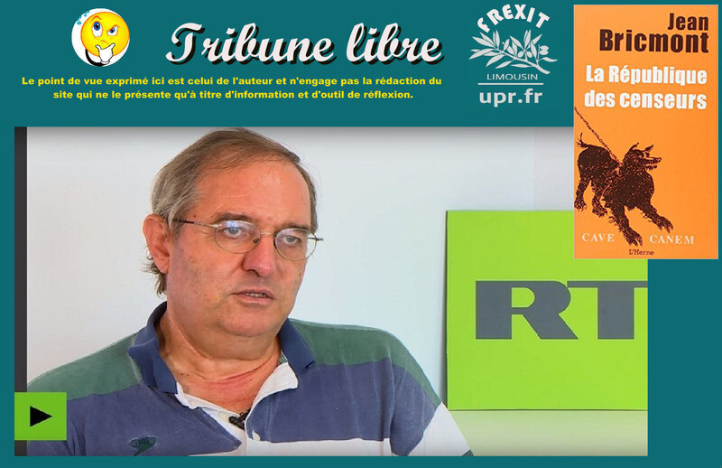 TL BRICMONT LOI FAKE NEWS