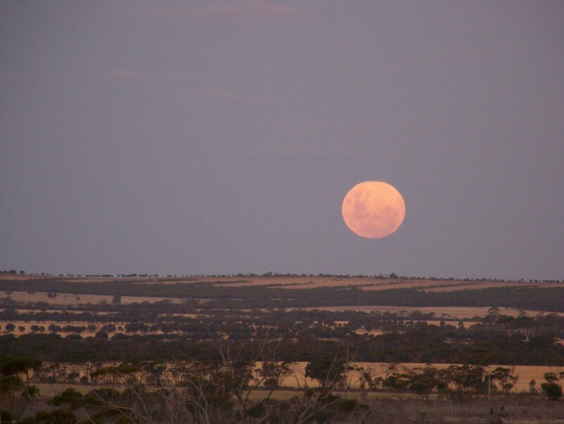 site de rencontre Kalgoorlie Meilleurs titres de datation