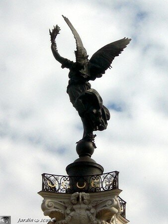 CIMG7137