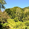 Vue sur les escarpements du Castillon et du Soulaing.