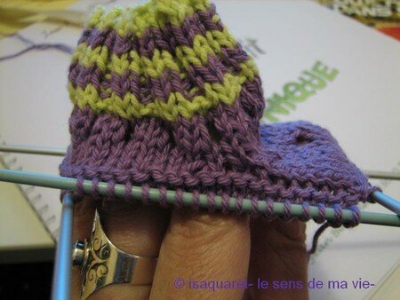 tit_cr_meux_toutes_les_mailles