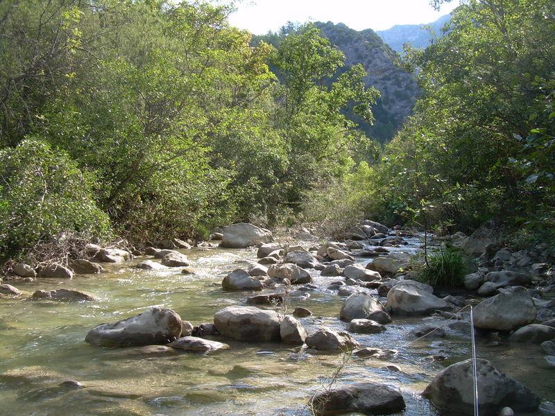 peche truite issole