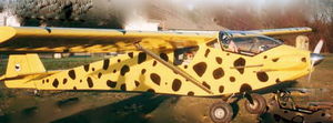 avionmarsupi