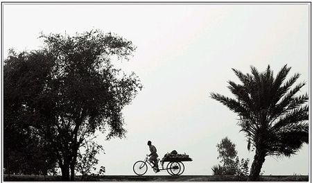 roots_and_wheels