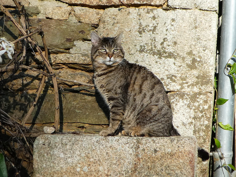 P1000255