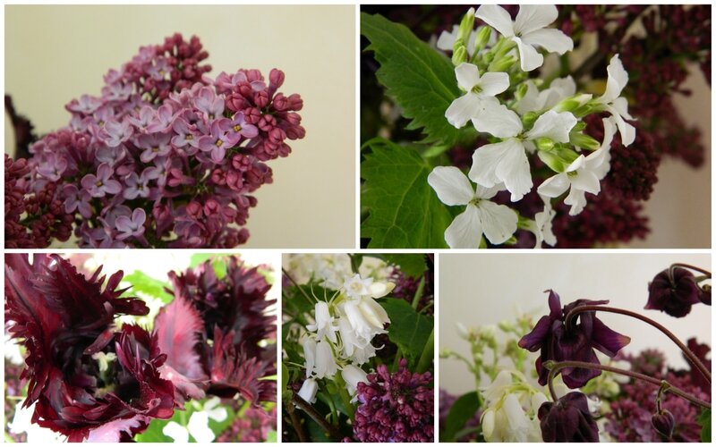 lilas