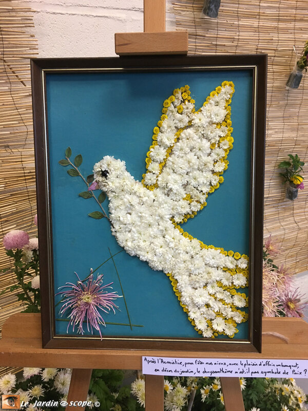 Expo-chrysanthème-2019-37