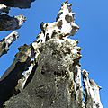 La mer d'un bleu à briser l'âme : saint-malo le 6 avril 2015 (4)