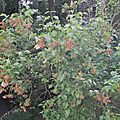 DSCN2762