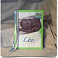 Protège carnet de santé PHOTO BEBE Personnalisé LEO