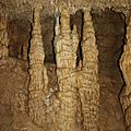 IMG_9239