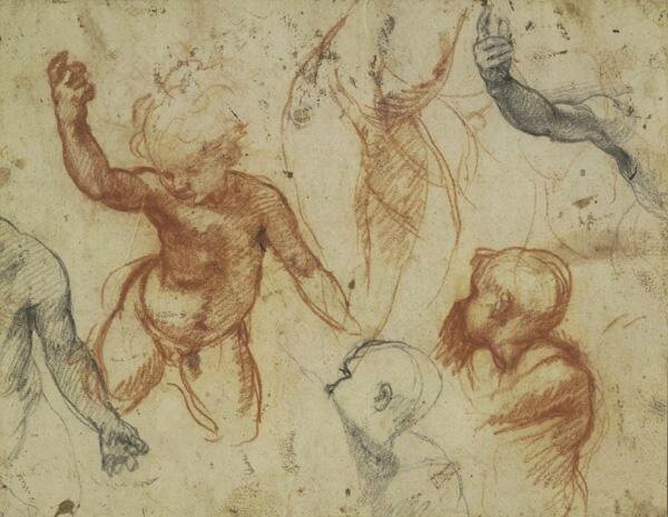 Andrea del Sarto, Studies of Children, 1522–26