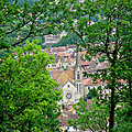 bastides tarn (69)