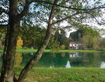 images_291