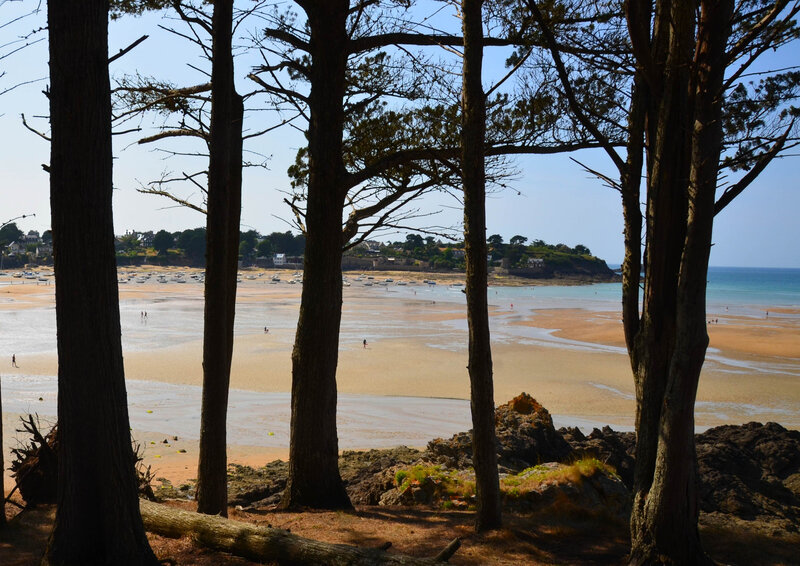 DSC_2780
