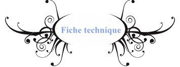 fiche technique
