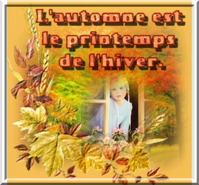 automne 7