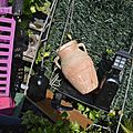 _DSC0070