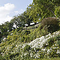 _DSC0042