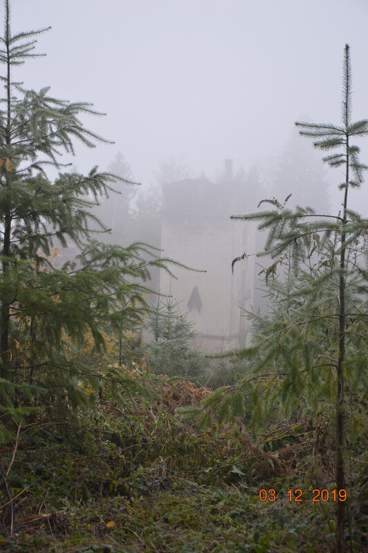 DSC_0215