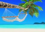 hammock-coconut-palm-tropical-sandy-ocean-beach-island-wooden-white-mesh-perfect-white-baie-lazare-mahe-seychelles-indian-80020078