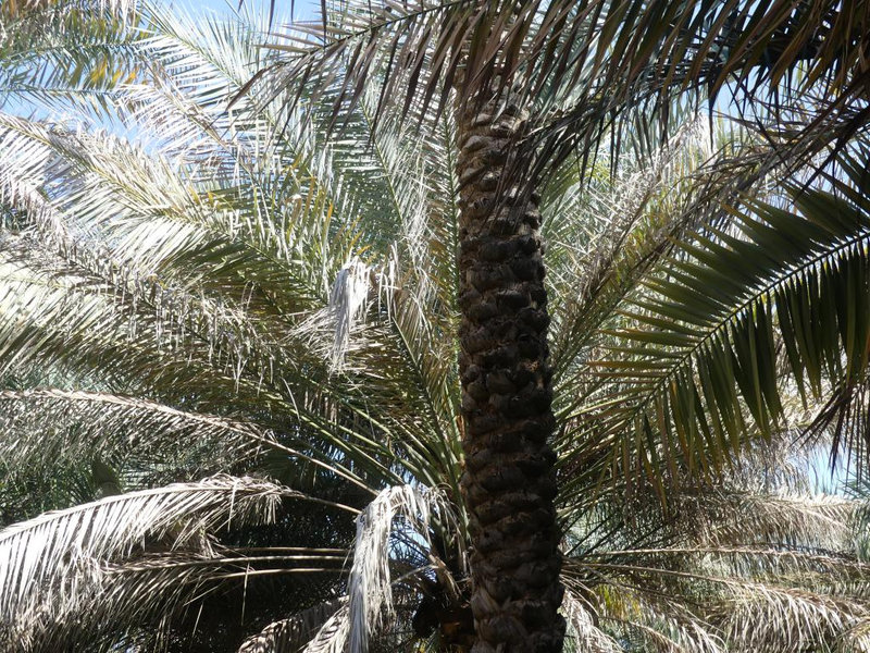 P1190403