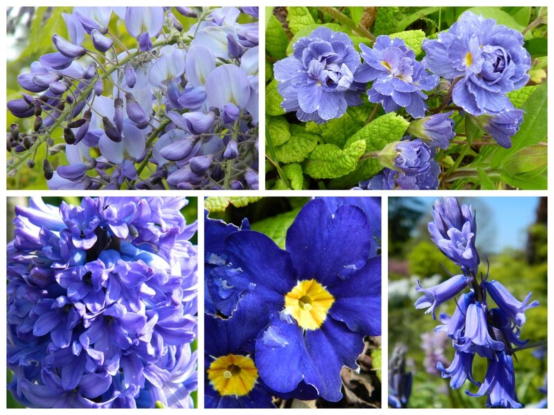 enbleu