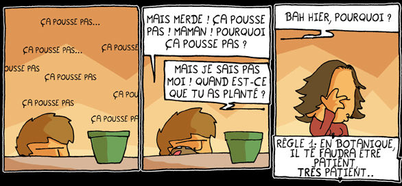 7_F_vrier_2009