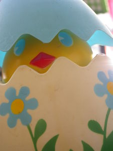 DSCN0395