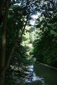 P1120261
