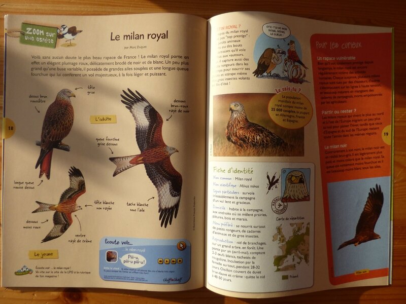 L'oiseau mag hiver 16 (3)