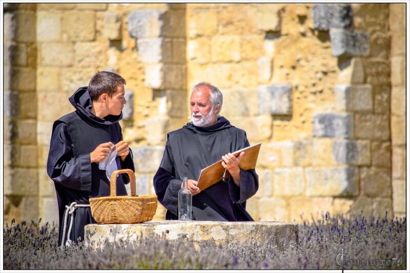 moines abbaye maillezais rabelais (2)