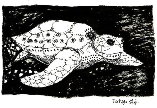 tortuga
