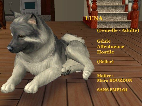 LUNA