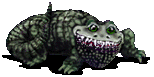 crocodile7