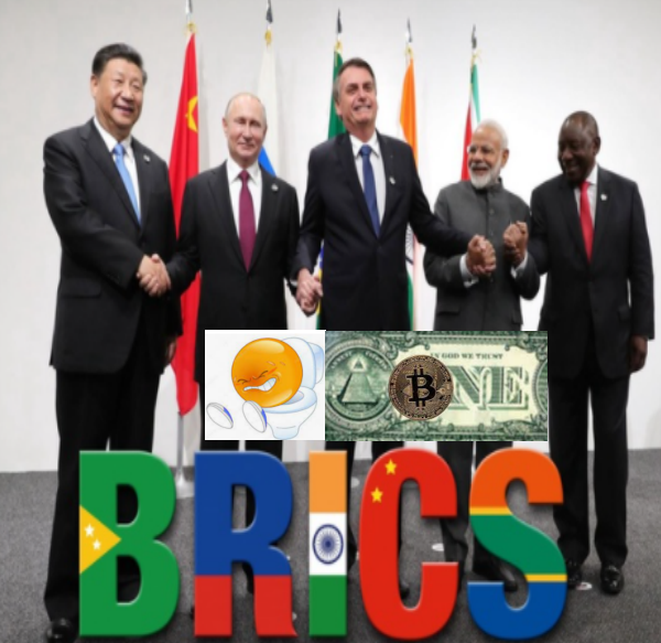 LES BRICS FINANCIERS