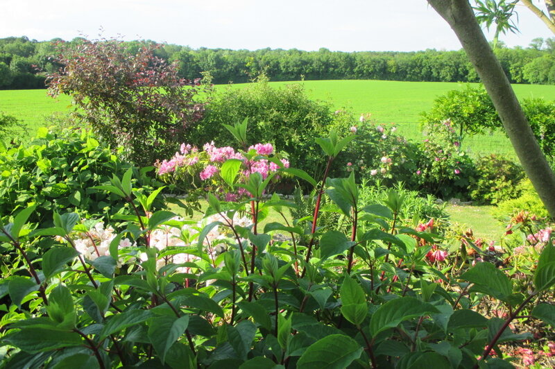 - "Jardin de fleurs de lis"