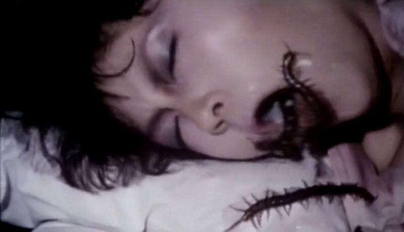 Centipede-Horror-1982-01-31-23