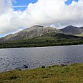 IMG_4463 - Copie