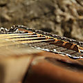 JerriCone TriCane Rusty