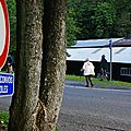 IMGP9384