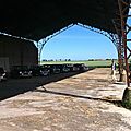 IMG_1913