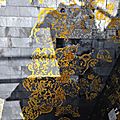 IMG_1250