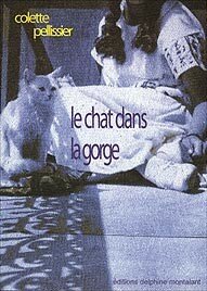 le_chat_dans_la_gorge